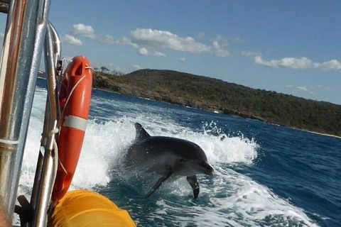 Noosa Oceanrider - Adventure Tour - Tweed Heads Accommodation 1