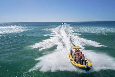 Noosa Oceanrider - Adventure Tour - Tweed Heads Accommodation 2