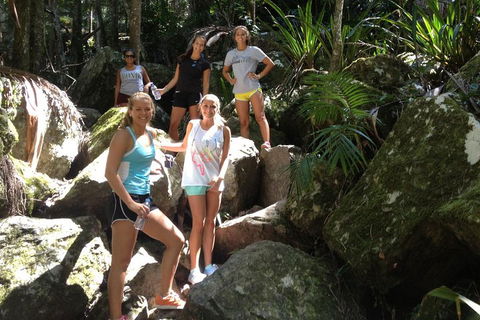 Byron Bay Hinterland Tour Including Rainforest Walk To Minyon Falls - Tweed Heads Accommodation 3
