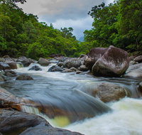 Cape Tribulation Day Tour - Tweed Heads Accommodation