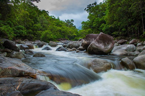Cape Tribulation Day Tour - Tweed Heads Accommodation 0