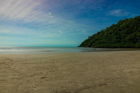 Cape Tribulation Day Tour - Tweed Heads Accommodation 2