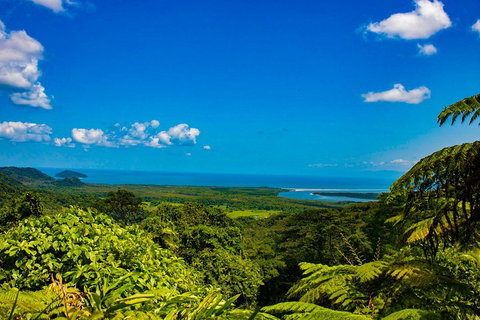 Cape Tribulation Day Tour - Tweed Heads Accommodation 3