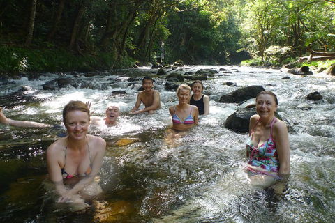 Daintree Rainforest, Cape Tribulation, Mossman Gorge Small-Group Day Tour - Tweed Heads Accommodation 0