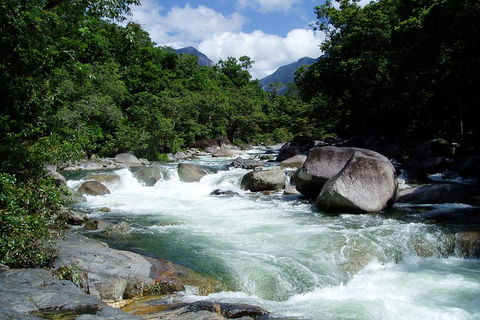 Daintree Rainforest, Cape Tribulation, Mossman Gorge Small-Group Day Tour - Tweed Heads Accommodation 5