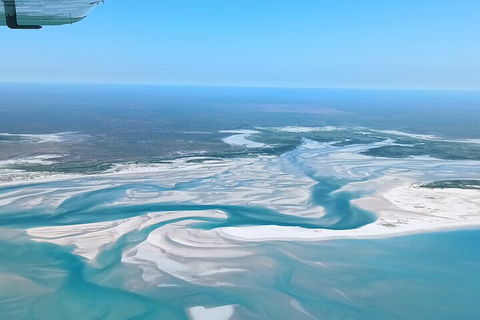 Giant Tides Tour - Cygnet Bay Pearl Farm - Tweed Heads Accommodation 1