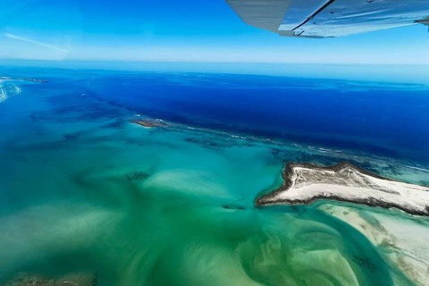 Wet Season Incredible Islands Tour - Horizontal Falls & Cygnet Bay Pearl Farm - Tweed Heads Accommodation 4