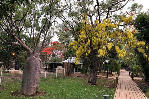 Wet Season Mitchell Falls Tour - Mitchell Falls, Horizontal Falls & Cygnet Bay - Tweed Heads Accommodation 1