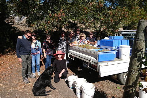 Valleys Of Vino Tour - Tweed Heads Accommodation 1