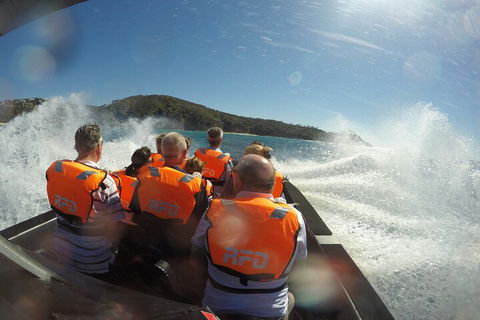 Noosa Thriller - 500hp Ocean Adventure Ride - Tweed Heads Accommodation 3