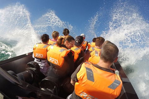 Noosa Thriller - 500hp Ocean Adventure Ride - Tweed Heads Accommodation 4