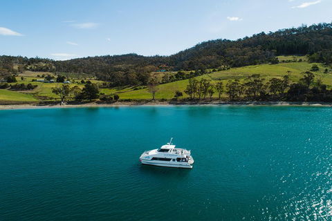 Deep-to-Dish: Tasmanian Seafood Experience - Tweed Heads Accommodation 0