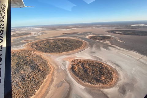 Scenic Flight: Lizard Safari - Tweed Heads Accommodation 1