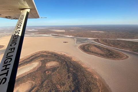 Scenic Flight: Lizard Safari - Tweed Heads Accommodation 3