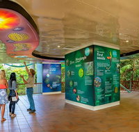 Skyrail  Kuranda Train Day Trip from Cairns - Tweed Heads Accommodation