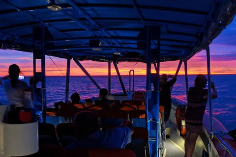 Darwin Sunset Cruise Including Fish 'n' Chips - Tweed Heads Accommodation 1