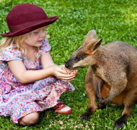 Kuranda Day Tour  HotAir Balloon Combo - Tweed Heads Accommodation