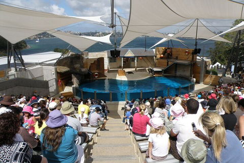 Sydney Taronga Zoo General Entry Ticket - Tweed Heads Accommodation 5