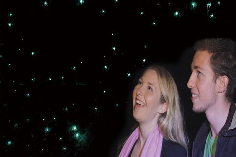 Natural Bridge Glow Worm Night Tour From Gold Coast - Tweed Heads Accommodation 3