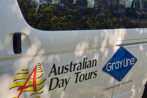 Natural Bridge Glow Worm Night Tour From Gold Coast - Tweed Heads Accommodation 5