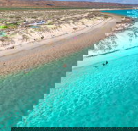 Ningaloo in a Day - Full Day Hike and Snorkel Tour with Lunch - Tweed Heads Accommodation