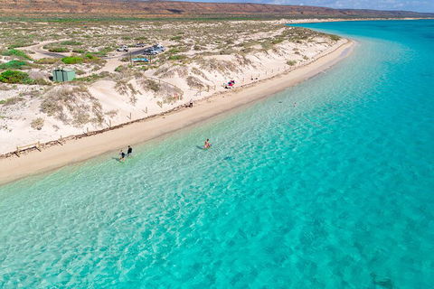 Ningaloo In A Day - Full Day Hike And Snorkel Tour With Lunch - Tweed Heads Accommodation 0