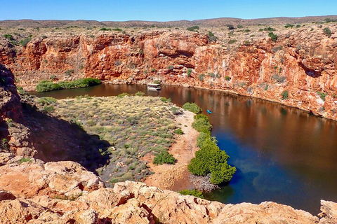 Ningaloo In A Day - Full Day Hike And Snorkel Tour With Lunch - Tweed Heads Accommodation 2