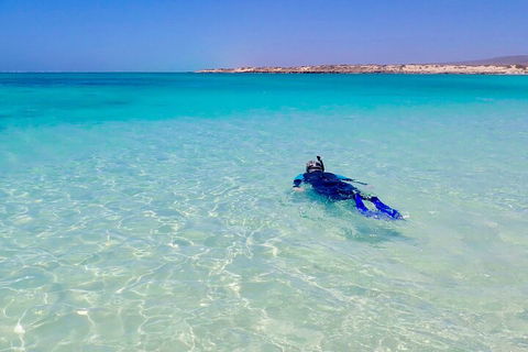 Ningaloo In A Day - Full Day Hike And Snorkel Tour With Lunch - Tweed Heads Accommodation 4