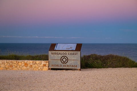 Ningaloo In A Day - Full Day Hike And Snorkel Tour With Lunch - Tweed Heads Accommodation 5