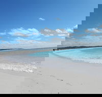 Shipwreck Special Nature Tour/Half Day Tour - Tweed Heads Accommodation