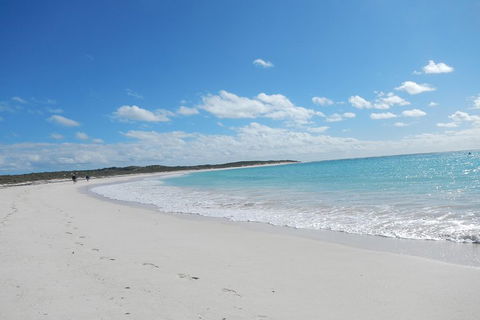Shipwreck Special Nature Tour/Half Day Tour - Tweed Heads Accommodation 0