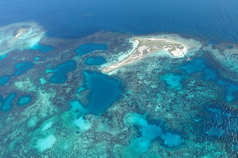 Shipwreck Special Nature Tour/Half Day Tour - Tweed Heads Accommodation 5