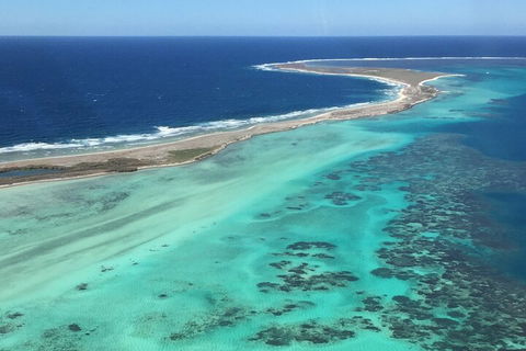 Pink Lake + Abrolhos Islands Nature Tour - Tweed Heads Accommodation 2