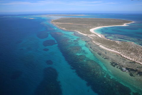 Pink Lake + Abrolhos Islands Scenic Flight - Tweed Heads Accommodation 0