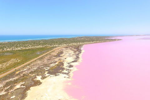 Pink Lake + Abrolhos Islands Scenic Flight - Tweed Heads Accommodation 4