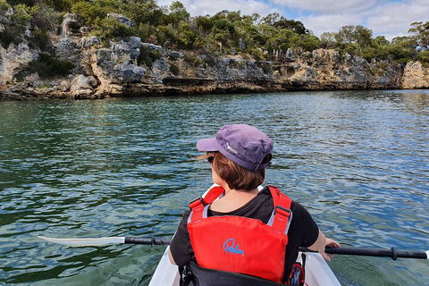 Cliffs And Caves Kayak Tour In Swan River - Tweed Heads Accommodation 0
