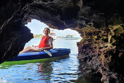 Cliffs And Caves Kayak Tour In Swan River - Tweed Heads Accommodation 1