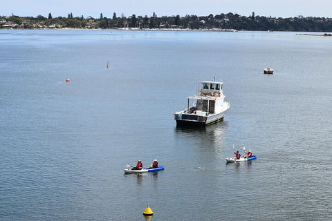 Cliffs And Caves Kayak Tour In Swan River - Tweed Heads Accommodation 2