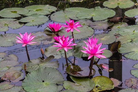 Kakadu, Nourlangie And Yellow Waters Tour From Darwin - Tweed Heads Accommodation 1