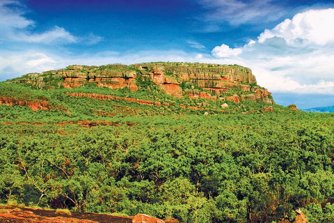 Kakadu, Nourlangie And Yellow Waters Tour From Darwin - Tweed Heads Accommodation 3