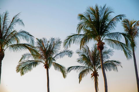 Darwin City Sightseeing Tour - Tweed Heads Accommodation 0