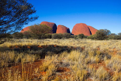 Kata Tjuta Sunrise And Valley Of The Winds Half-Day Trip - Tweed Heads Accommodation 1