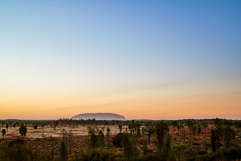 Uluru (Ayers Rock) Field Of Light Sunrise Tour - Tweed Heads Accommodation 0