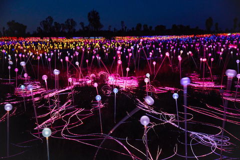 Uluru (Ayers Rock) Field Of Light Sunrise Tour - Tweed Heads Accommodation 1