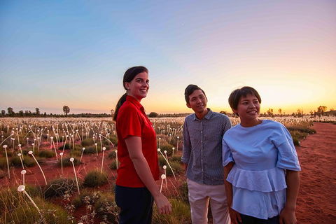 Uluru (Ayers Rock) Field Of Light Sunrise Tour - Tweed Heads Accommodation 2