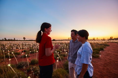 Uluru (Ayers Rock) Field Of Light Sunrise Tour - Tweed Heads Accommodation 5