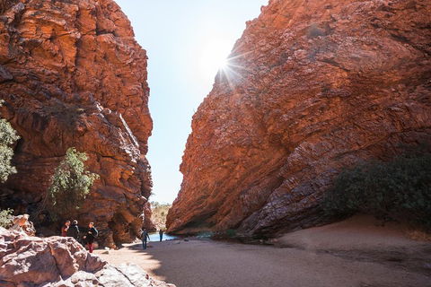 West MacDonnell Ranges- Half Day Trip From Alice Springs - Tweed Heads Accommodation 0