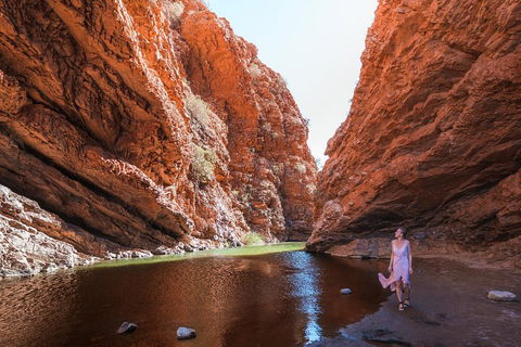 West MacDonnell Ranges- Half Day Trip From Alice Springs - Tweed Heads Accommodation 1