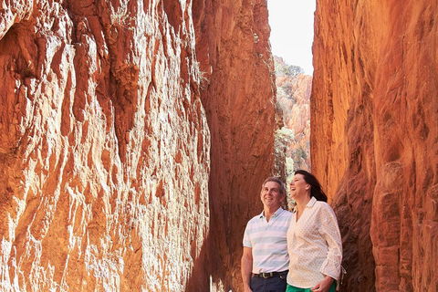 West MacDonnell Ranges- Half Day Trip From Alice Springs - Tweed Heads Accommodation 2