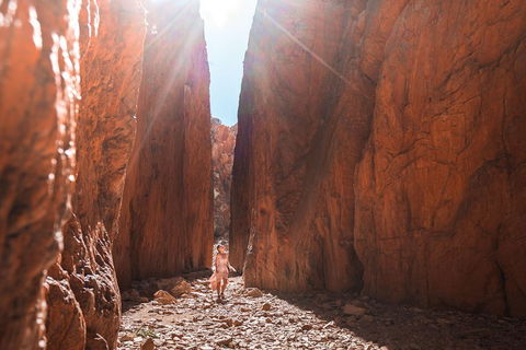 West MacDonnell Ranges- Half Day Trip From Alice Springs - Tweed Heads Accommodation 4